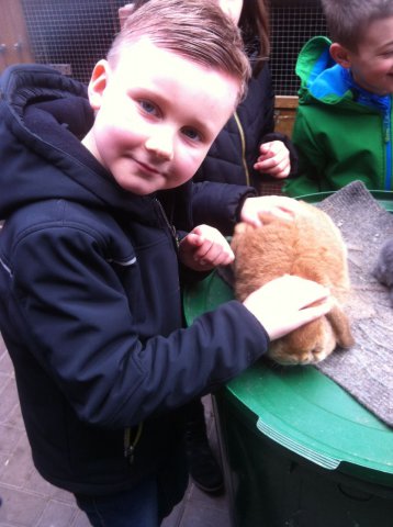 11d782b4-7bd6-4fe7-9be9-e6ffaf36e340