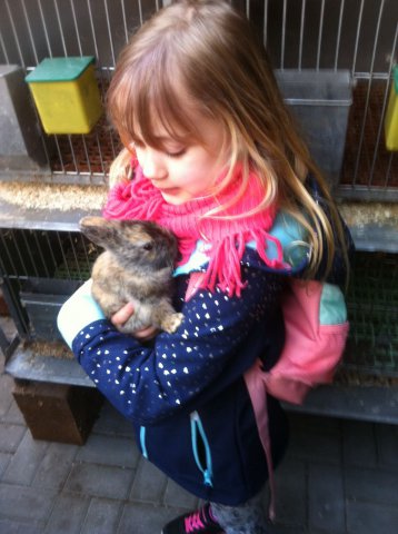 72a769a5-60c3-44fa-b8cf-63073e14e3ed