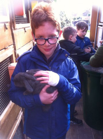 75d19432-2edd-40f5-82ae-842a73e6bc3c