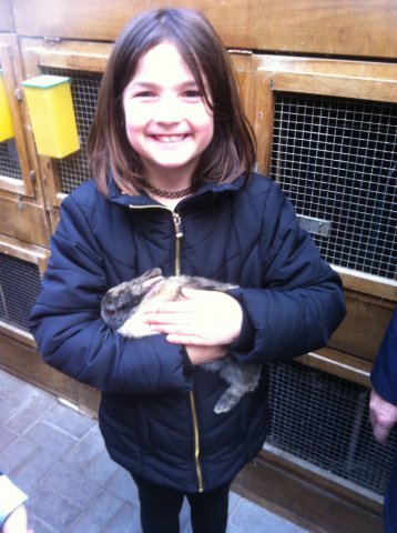 c5923e35-de42-4cea-bcf8-f900ec4c339f