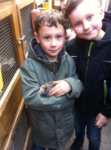 ccd033f3-3768-4646-a07e-80929b9663e7