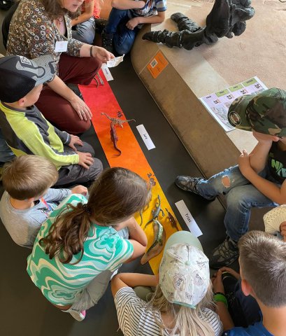 IMG-20230726-WA0012-2