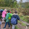 Herbstferien-Betreuung: Waldkugelbahn Rotenburg